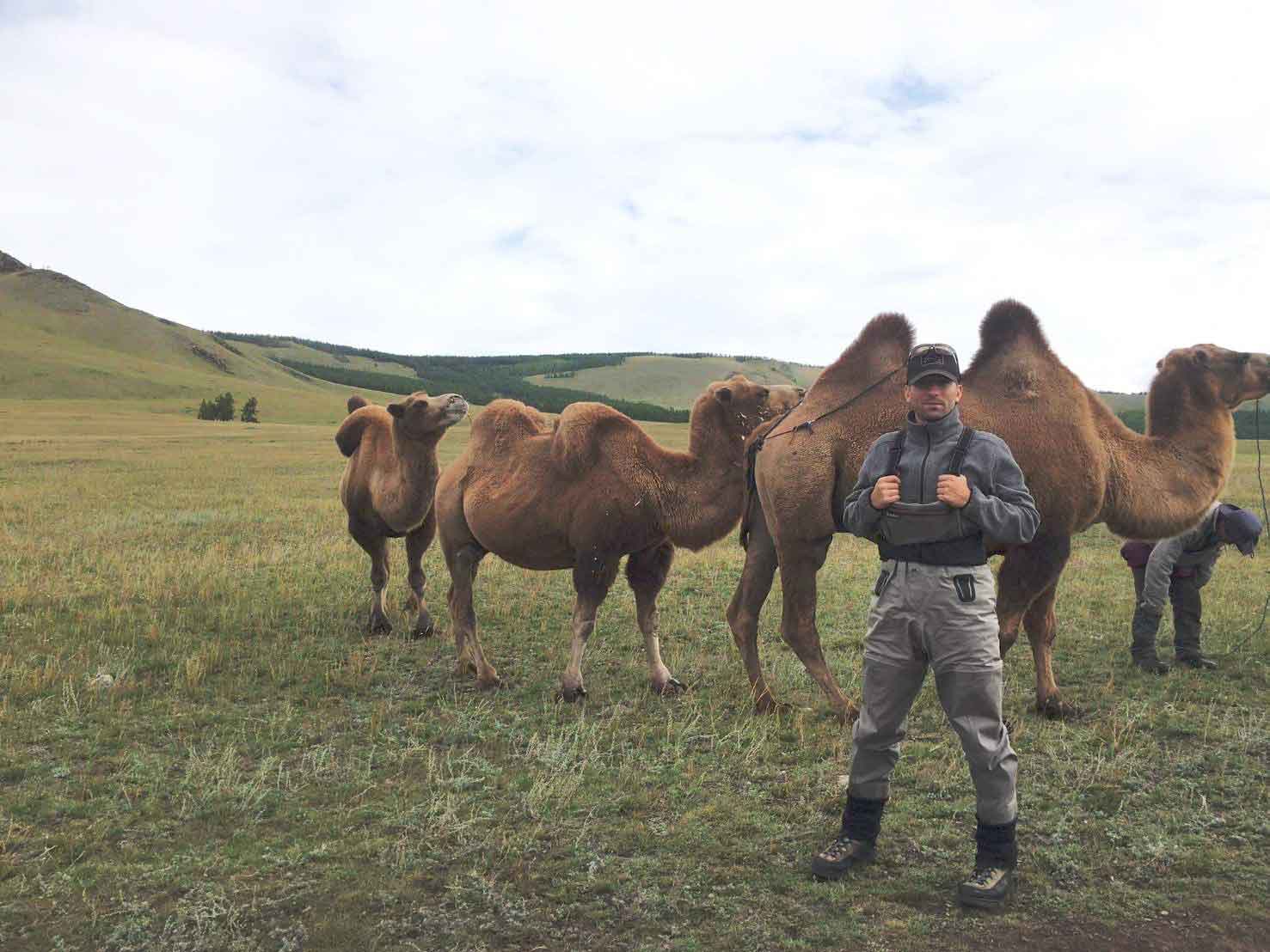 wild mongolia
